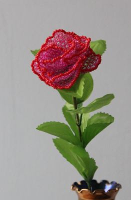 19