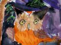 IMG 6334 IMG 6334