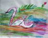 IMG 6338 IMG 6338