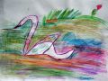IMG 6338 IMG 6338
