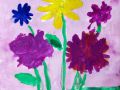 IMG 6376 IMG 6376