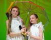 IMG 1311 IMG 1311