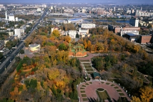 Алое поле